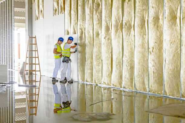Best Insulation for Specific Applications in Ken Caryl, CO